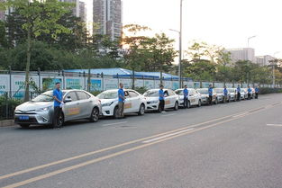 龍翔專業汽車陪駕 全方位服務，助您安全駕駛上路